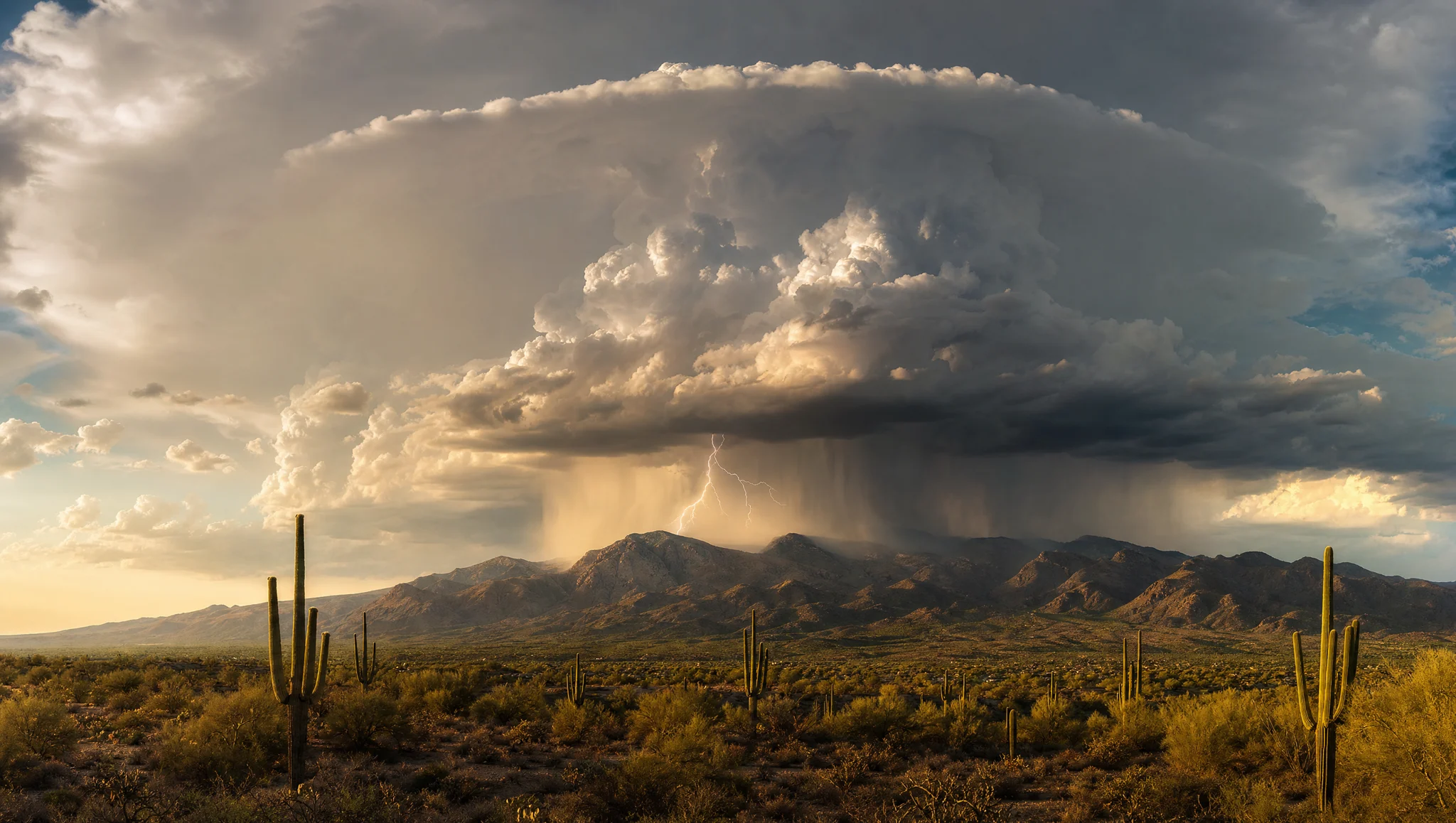 Monsoon weather over the Sonoran Desert in the Old Pueblo journey