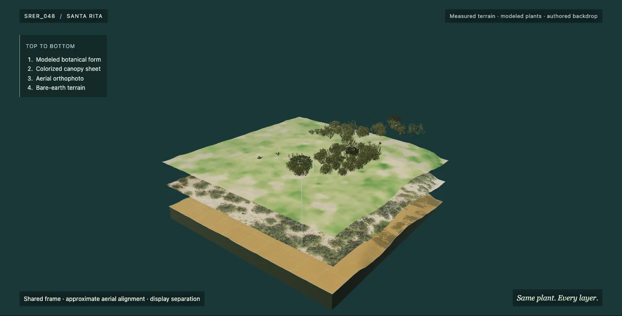Living X-Ray separates a Santa Rita plot into modeled plants, canopy, aerial imagery, and measured terrain