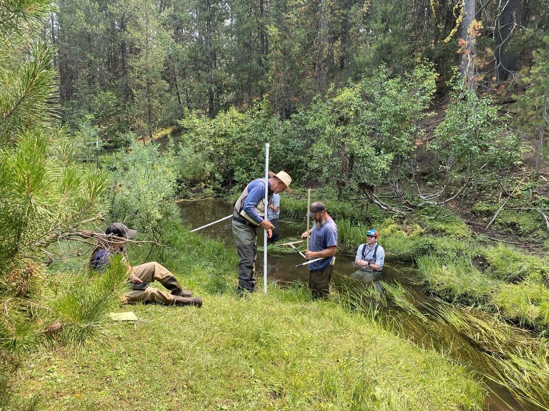 MIMs sampling for USFS in Boise, ID